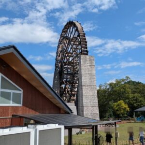 晩夏のいい天気のおばあちゃん市